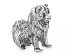 Фигурка собаки (Чау-чау) из серебра 925 пробы